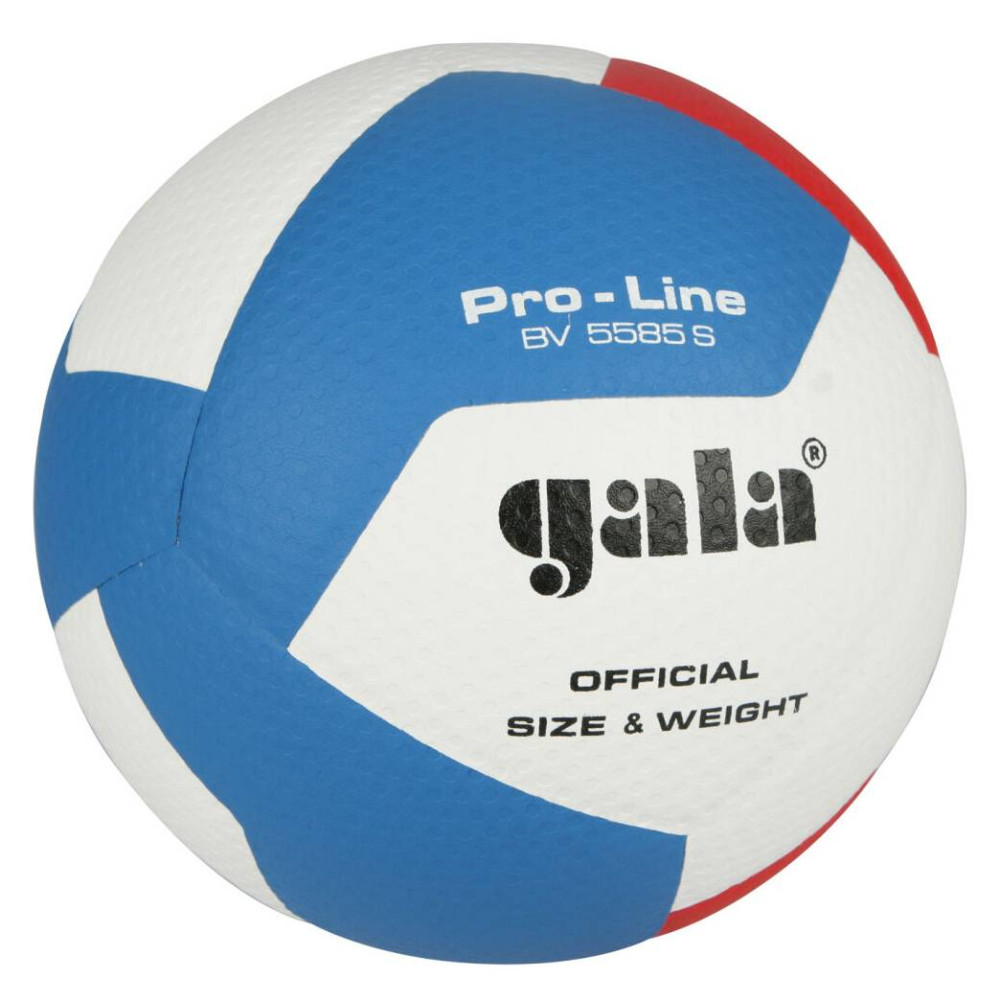 Volejbalový míč Gala Pro Line BV 5585 S vel.5