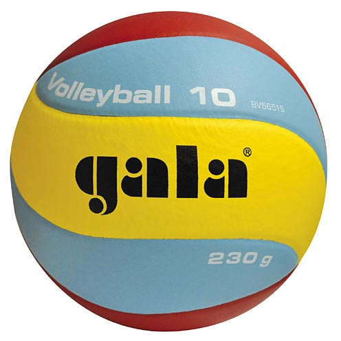 Volejbalový míč Gala Training BV 5651S vel.5