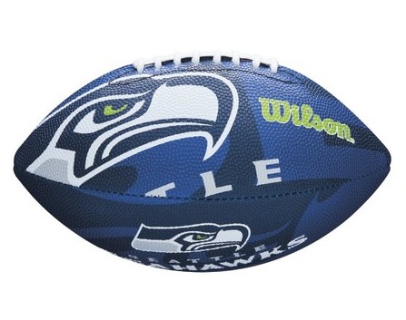 Míč na americký fotbal Wilson NFL Team Logo FB SE JR