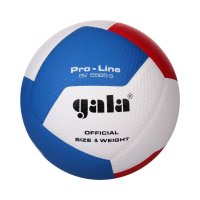 Volejbalový míč Gala Pro Line BV 5585 S