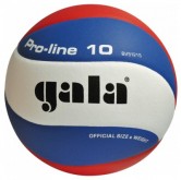 Volejbalový míč Gala Pro Line 5121 S vel.5