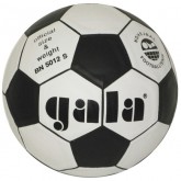 Nohejbalový míč GALA 5012 S vel.5