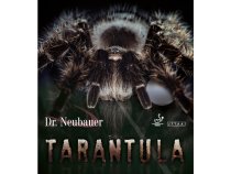 Potah Dr. Neubauer Tarantula