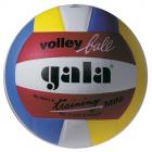 Míč volejbal Training Mini Color BV4041S vel.4