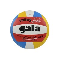 Míč volejbal Training Mini Color BV4041S vel.4