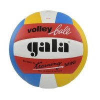 Volejbalový míč Gala Training Mini BV 4041 S