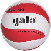 Míč volejbal Gala Bora 10 BV5671S vel.5
