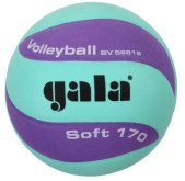 Volejbalový míč Gala Soft BV5681SCF vel.5