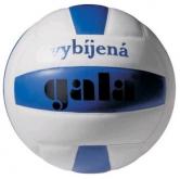 Volejbalový míč Gala vybíjená - BV 4061 S vel.4