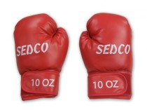 Juniorské boxerské rukavice Sedco PU TQ 10oz